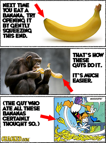 NEXT TWE YOU EAT A BANANA TRY OPENING IT BY GENTLY SQUEEZNG THIS END. THAT'S How THESE GUYS DOIT. IT'S MUCH EASIER WHOOOPS! (THE GUY WO ATE AL THESE B