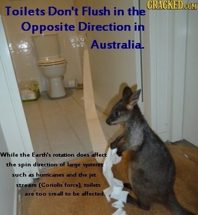 CRACKED Toilets Don't Flush in the Opposite Direction in Australia. While the Earth's rotation does affect the spin direction of laurge systerns such