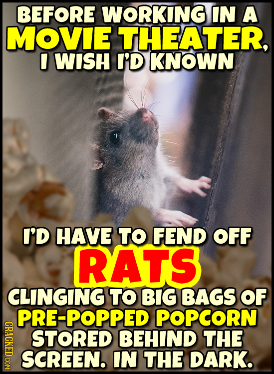 BEFORE WORKING IN A MOVIE THEATER, WISH I'D KNOWN I'D HAVE TO FEND OFF RATS CLINGING TO BIG BAGS OF PRE-POPPED POPCORN GRAOT STORED BEHIND THE SCREEN.