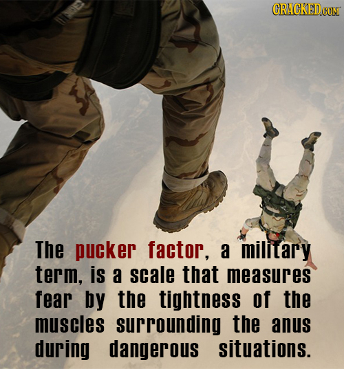 CRACKEDCO com E> The pucker factor, a milltary term, is a scale that measures fear by the tightness of the muscles surrounding the anus during dangero