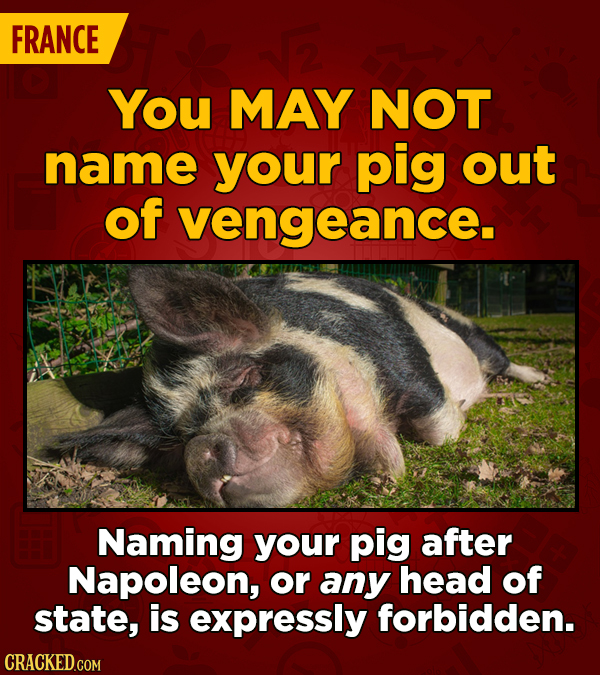 27 Oddly Specific Laws From Around The World