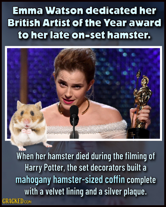 Emma Watson dedicated her British Artist Of the Year award to her late on-set hamster. When her hamster died during the filming of Harry Potter, the s