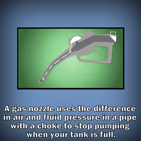 36 Keen Bits of Trivia That Don’t Dumb Themselves Down Around the Cool Facts