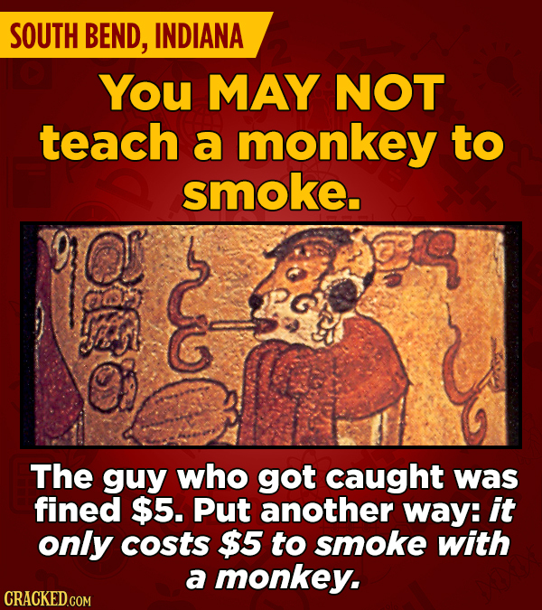 27 Oddly Specific Laws From Around The World
