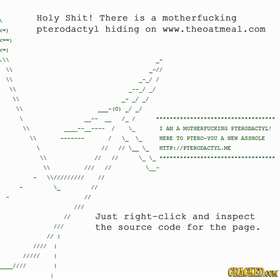 Holy Shit! There is a motherfucking pterodactyl hiding on www.theoatmeal.com I AM A MOTHERFUCKING PTERODACTYL! HERE TO PTERO-YOU A NEW ASSHOLE HTIP://
