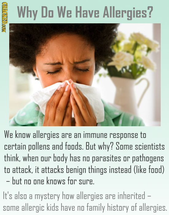 CRACKEDCON Why Do We Have Allergies? We know allergies are an immune response to certain pollens and foods. But why? Some scientists think, when body 