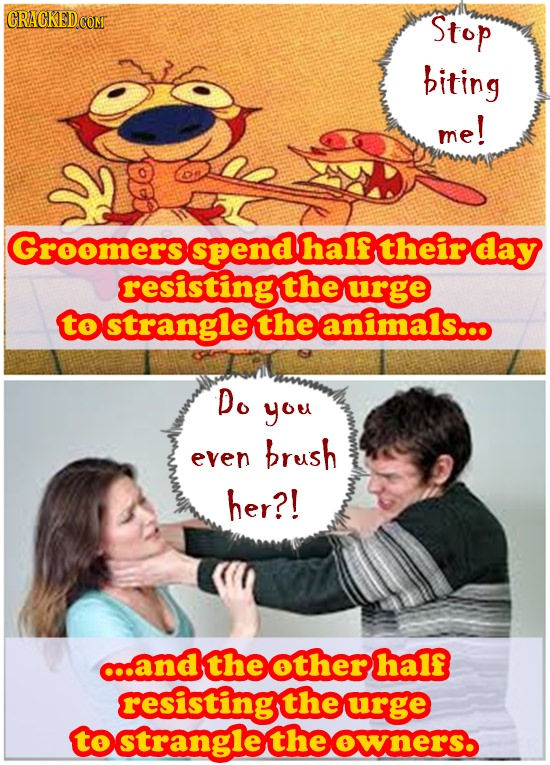 Stop biting me! Groomersspendhalftheirday resistingtheurge Do you brush even her?! c..andtheotherhalf resistingtheurge