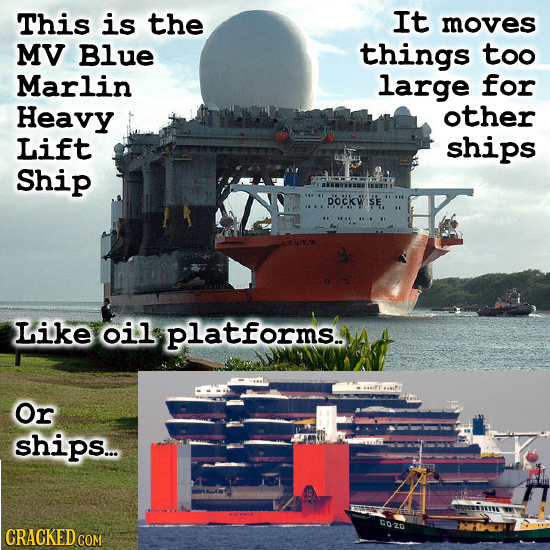 This is the It moves MV Blue things too Marlin large for Heavy other Lift ships Ship pockwse. Like oil platforms. Or ships... CRACKED COM