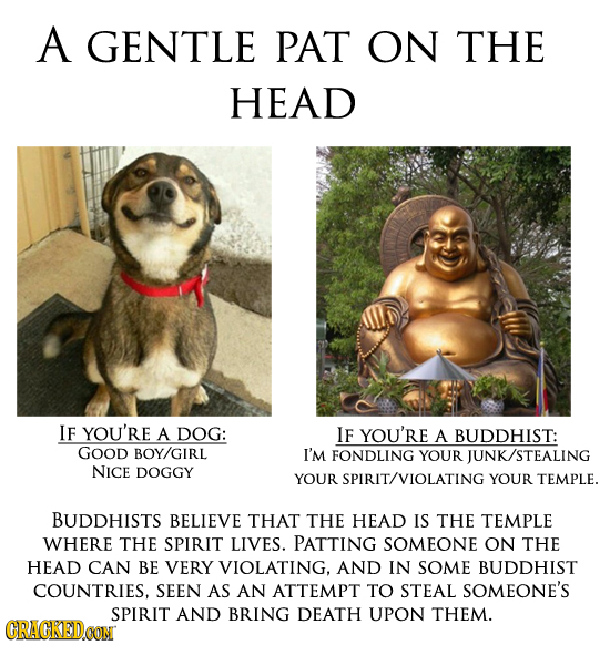 A GENTLE PAT ON THE HEAD IF YOU'RE A DOG: IF YOU'RE A BUDDHIST: GOOD BOY/GIRL I'M FONDLING YOUR JUNK/STEALING NICE DOGGY YOUR SPIRIT/VIOLATING YOUR TE