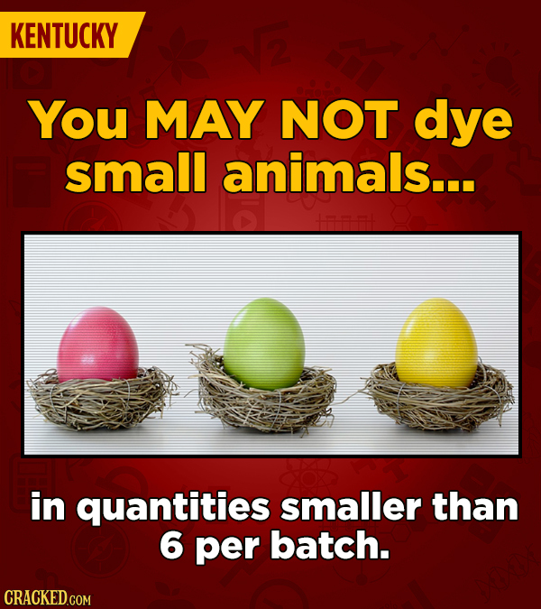 KENTUCKY You MAY NOT dye small animals... + in quantities smaller than 6 per batch. CRACKED.COM