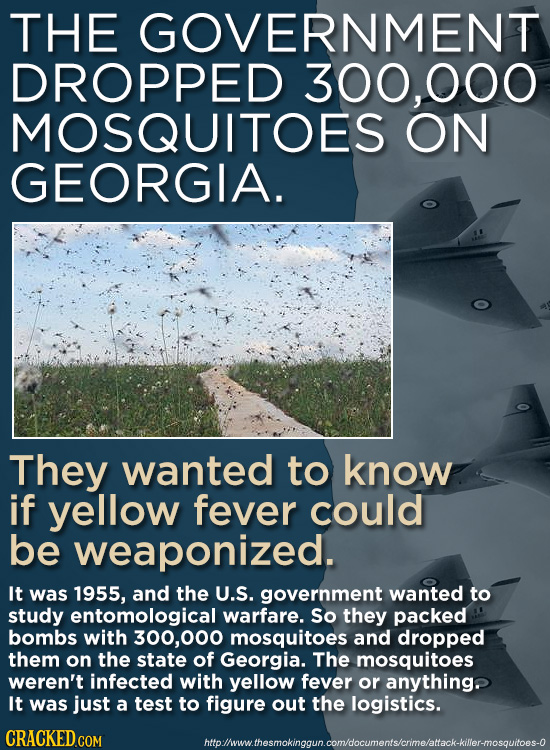 THE GOVERNMENT DROPPED 300,000 MOSQUITOES ON GEORGIA. They wanted to know if yellow fever could be weaponized. It was 1955, and the U.S. government wa