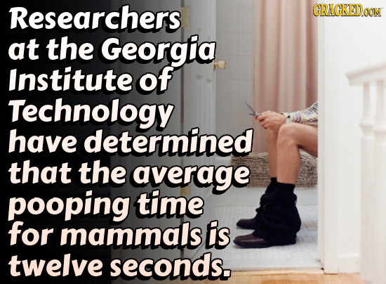 Researchers CRACKED OON at the Georgia Institute of Technology have determined that the average pooping time for mammals is twelve seconds.