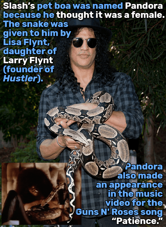 20 Celebrity Pet Facts