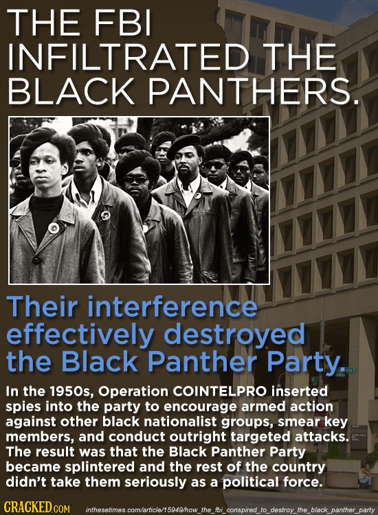 THE FBI INFILTRATED THE BLACK PANTHERS. Their interference effectively destroyed the Black Panther Party. In the 1950s, Operation COINTELPRO inserted
