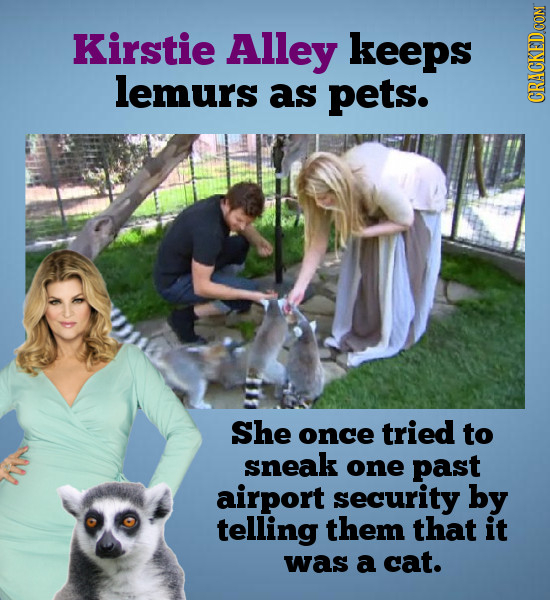 Kirstie Alley keeps lemurs as pets. CRaN She once tried to sneak one past airport security by telling them that it was a cat.