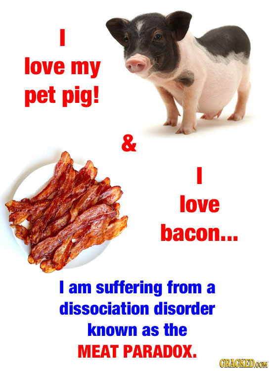 love my pet pig! & I love bacon... I am suffering from a dissociation disorder known as the MEAT PARADOX. CRACKEDOON