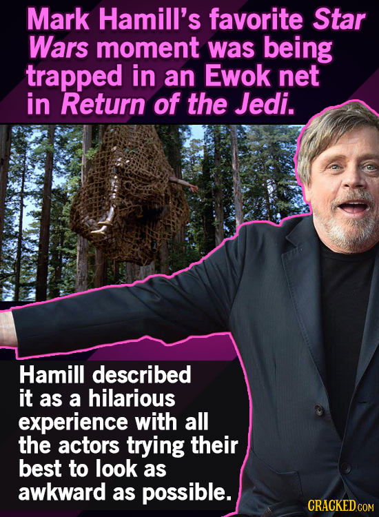 Mark Hamill's favorite Star Wars moment was being trapped in an Ewok net in Return of the Jedi. Hamill described it as a hilarious experience with all