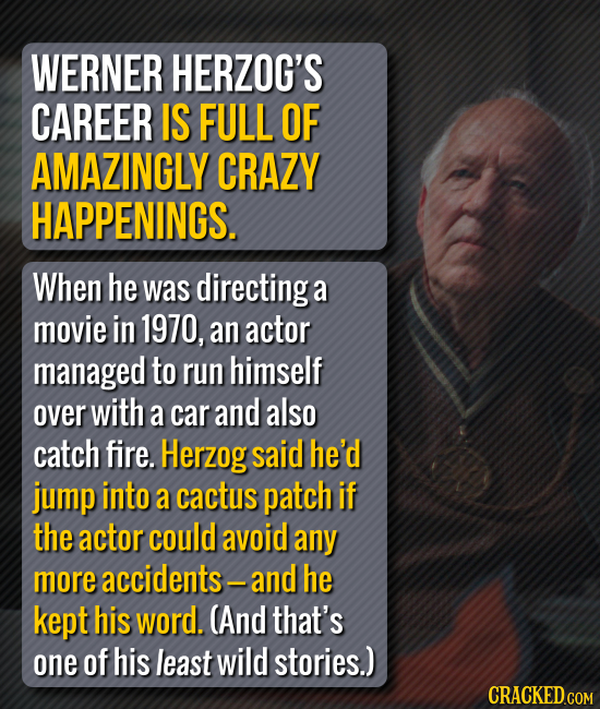 WERNER HERZOG'S CAREER IS FULL OF AMAZINGLY CRAZY HAPPENINGS. When he was directinga a movie in 1970, an actor managed to run himself over with a car