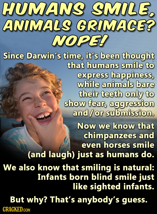 HUMANS SMILE, ANIMALS GRIMACE? NOPE! Since Darwin's time, it's been thought that humans smile to express happiness, while animals bare their teeth onl