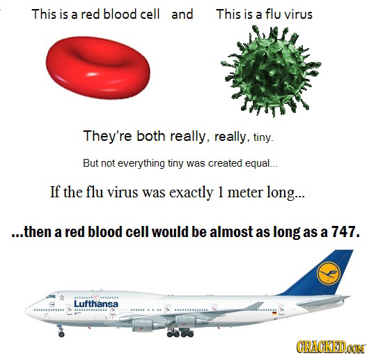 This is a red blood cell and This is a flu virus They're both really, really, tiny. But not everything tiny was created equal... If the flu virus was 