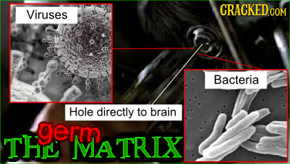 CRACKED cO Viruses COM Bacteria Hole directly to brain germ THE MATRIX 