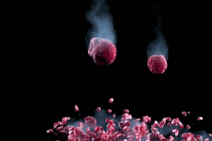 37 Everyday Things That Look Insane in Slow Motion