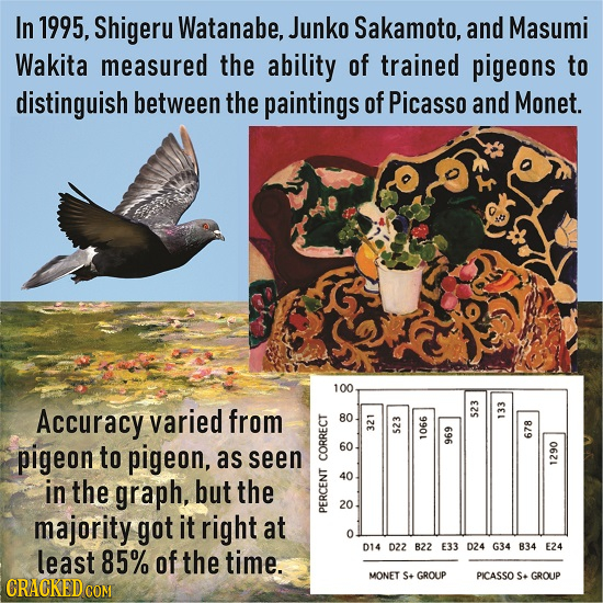 In 1995, Shigeru Watanabe, Junko Sakamoto, and Masumi Wakita measured the ability of trained pigeons to distinguish between the paintings of Picasso a