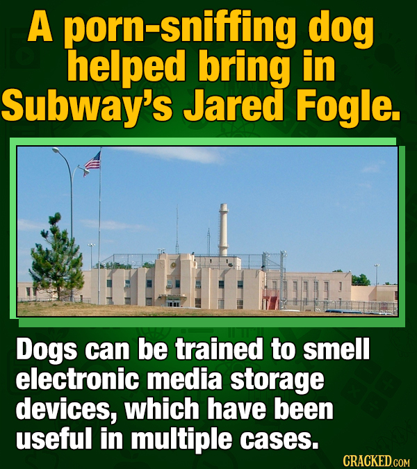 18 Subway Facts To Know Before You Eat Fresh