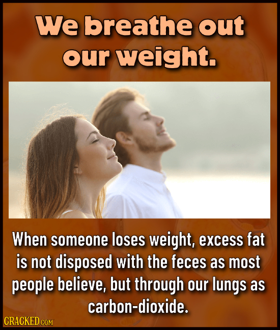 We breathe out our weight. When someone loses weight, excess fat is not disposed with the feces as most people believe, but through our lungs as carbo