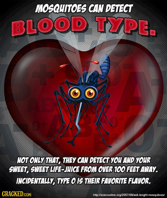 MOSQUITOES CAN DETECT BLOOD TYPE. NOT ONLY THAT, THEY CAN DETECT yOU AND YOUR SWEET, SWEET LIFE-JHICE FROM OVER 100 FEET AWAY. INCIDENTALLY, TYPE o IS