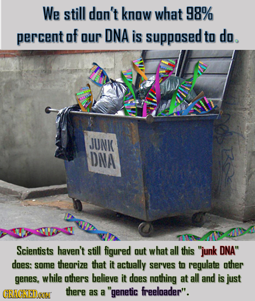 We still don't know what 98% percent of our DNA is supposed to do. JUNK DNA oc Scientists haven't still figured out what all this junk DNA does: som