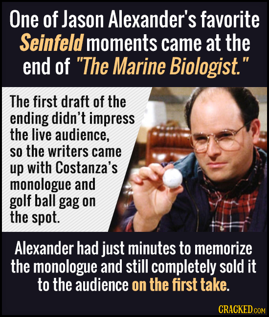 37 Random Bits of Trivia That Kindly Led Us Out of the Ignorance Maze