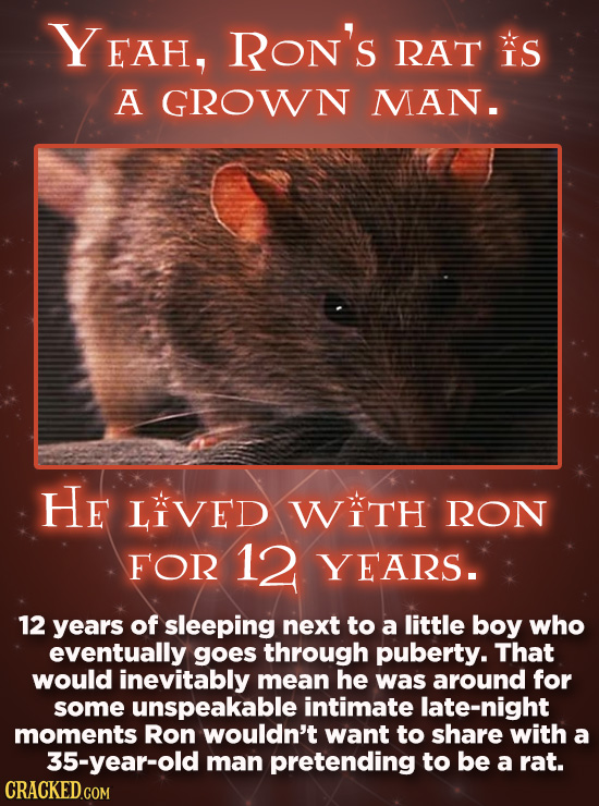 FAH, RON'S RAT is A GROWN MAN. He LIVED WITH RON FOR 12 YEARS. 12 years of sleeping next to a little boy who eventually goes through puberty. That wou