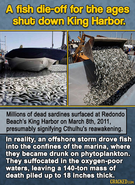 A fish die-off for the ages shut down King Harbor. Millions of dead sardines surfaced at Redondo Beach's King Harbor on March 8th, 2011, presumably si