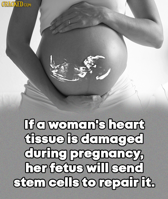 GRACKED CO If a woman's heart tissue is damaged during pregnancy, her fetus will send stem cells to repair it.