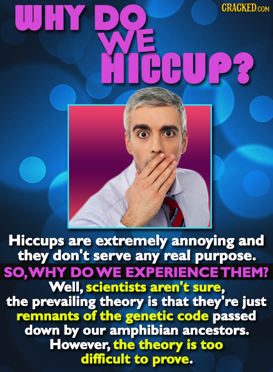 WHY DO WE HICCUP? Hiccups are extremely annoying and they don't serve any real purpose. sO, WHY DOWE EXPERIENCE THEM? Well, scientists aren't sure, th