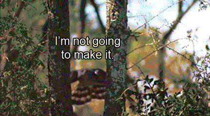 37 Everyday Things That Look Insane in Slow Motion