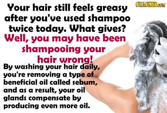 Your hair still feels GRAGRED greasy CONT after you've used shampoo twice today. What gives? Well, you may have been shampooing your hair wrong! By wa