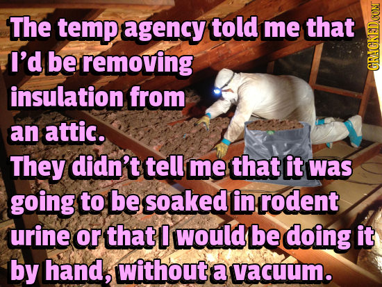 The temp agency told me that I'd be removing GRabN insulation from an attic. They didn't tell me that it was going to be soaked in rodent urine or tha