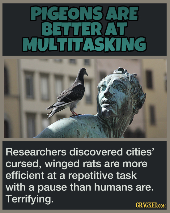 19 Animal Abilities That Will Make You Feel Inferior