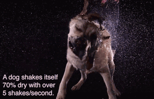 37 Everyday Things That Look Insane in Slow Motion