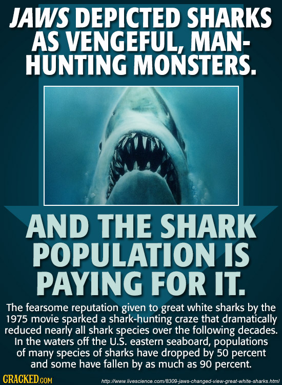 JAWS DEPICTED SHARKS AS VENGEFUL, MAN- HUNTING MONSTERS. AND THE SHARK POPULATION IS PAYING FOR IT. The fearsome reputation given to great white shark