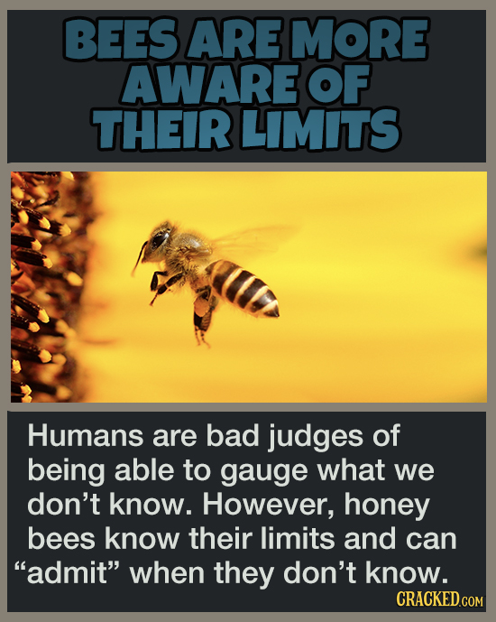 19 Animal Abilities That Will Make You Feel Inferior