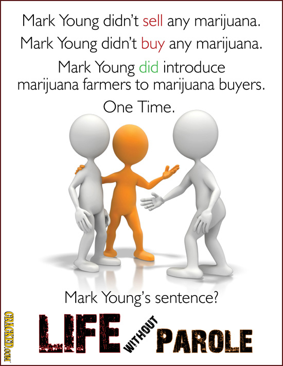 Mark Young didn't sell any marijuana. Mark Young didn't buy any marijuana. Mark Young did introduce marijuana farmers to marijuana buyers. One Time. M