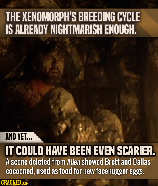 THE XENOMORPH'S BREEDING CYCLE IS ALREADY NIGHTMARISH ENOUGH. AND YET... IT COULD HAVE BEEN EVEN SCARIER. A scene deleted from Alien showed Brett and