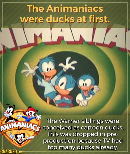 The Animaniacs were ducks at first. The Warner siblings ANIMANIACS were conceived as cartoon ducks. This was dropped in pre- production because TV had