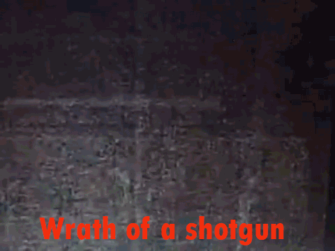 37 Everyday Things That Look Insane in Slow Motion