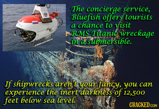 The concierge service, Bluefish offers tourists a chance to visit RMS Titanic wreckage in a submersible. If shipwrecks aren't your fancy, you can expe