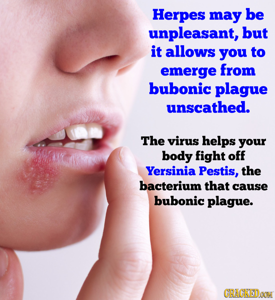 Herpes may be unpleasant, but it allows you to emerge from bubonic plague unscathed. The virus helps your body fight off Yersinia Pestis, the bacteriu