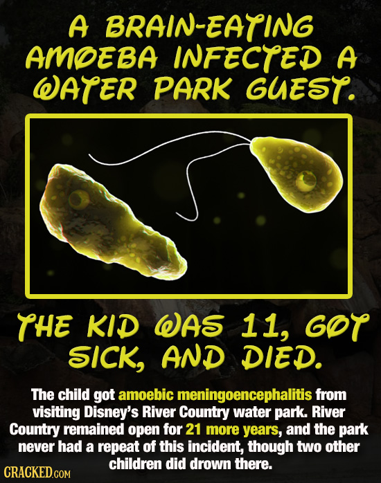 A BRAIN-EATING AMOEBA INFECTED A WATER PARK GUEST. THE KID WAS 11, GOT SICK, AND DIED. The child got amoebic meningoencephalitis from visiting Disney'